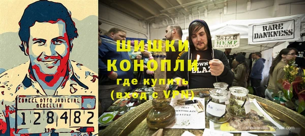 трава Арсеньев